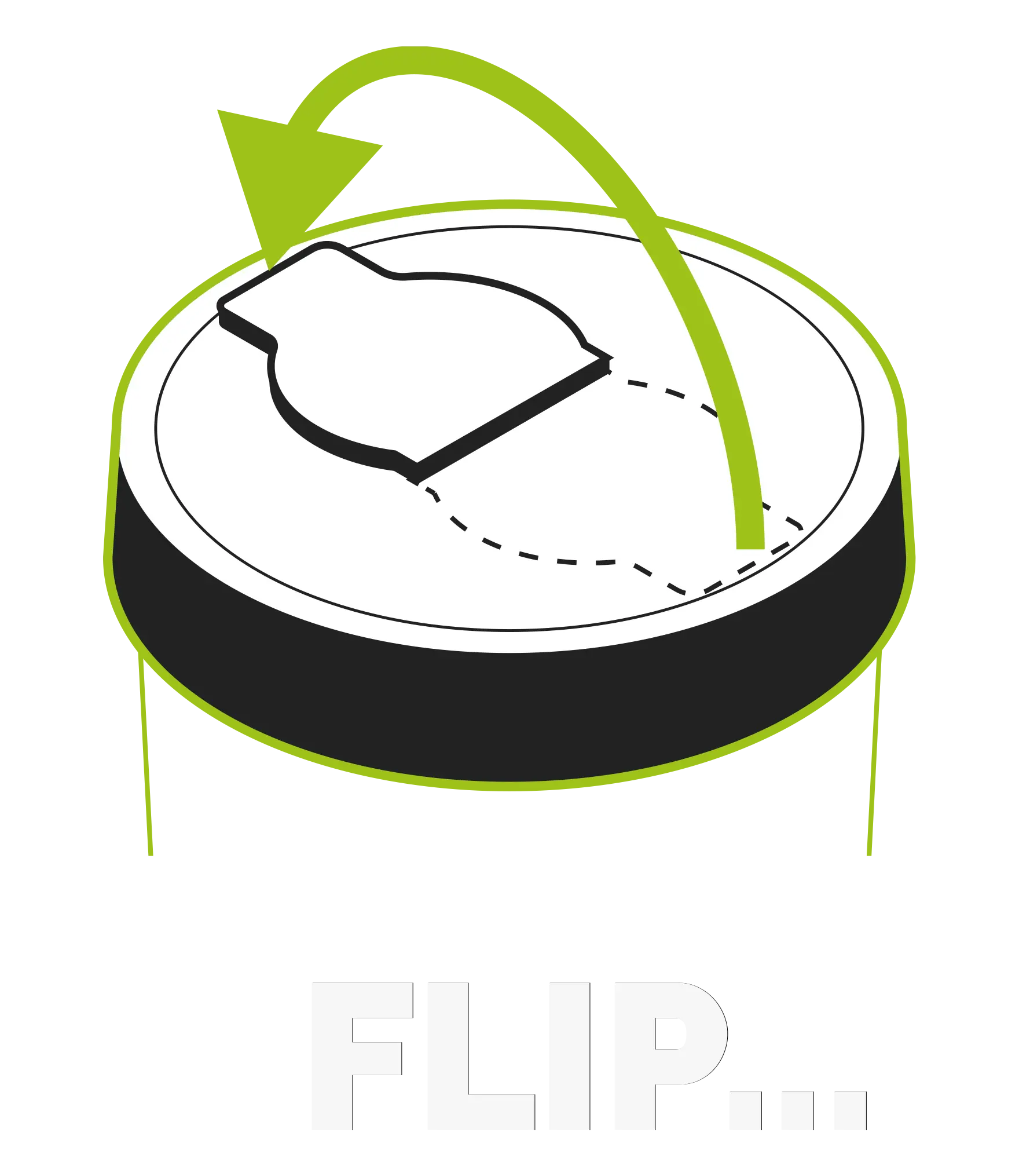 FLIP